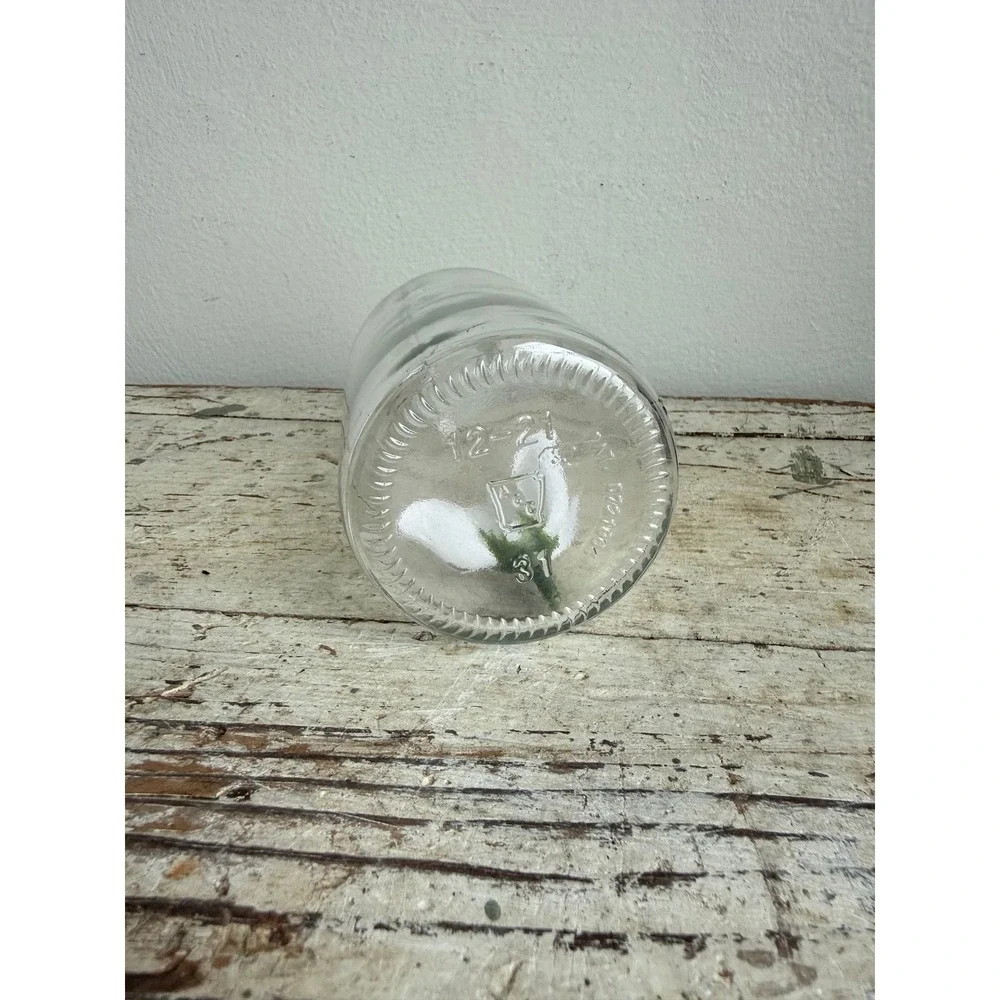 Clear Glass Bud Vase Apothecary Bottle Vintage Style Decorative Jar 6.5 Inch